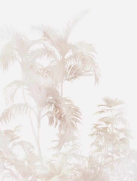 Fototapeten Exotische Palme in Weiß