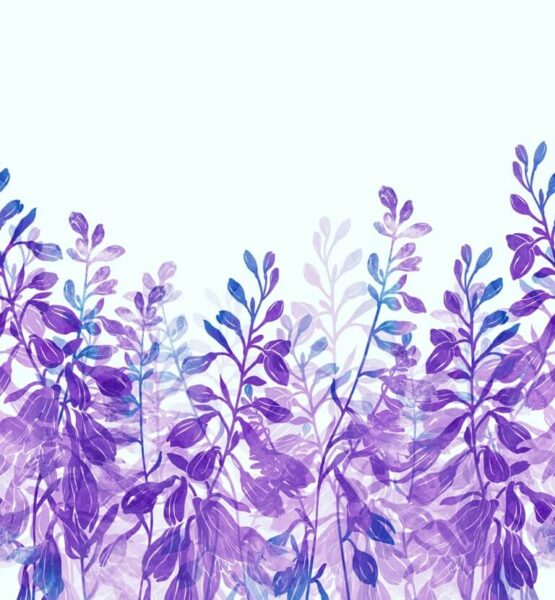 Fototapeten Pflanze Violett