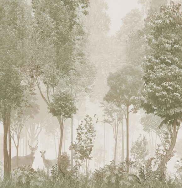 Fototapeten Waldlandschaft