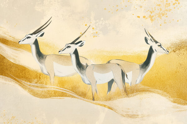 Fototapeten Der Frieden der Wüste