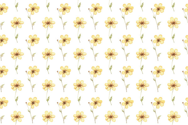 Fototapeten Gelbe Blüten