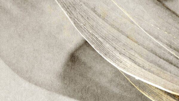 Fototapeten Ein Hauch des Windes