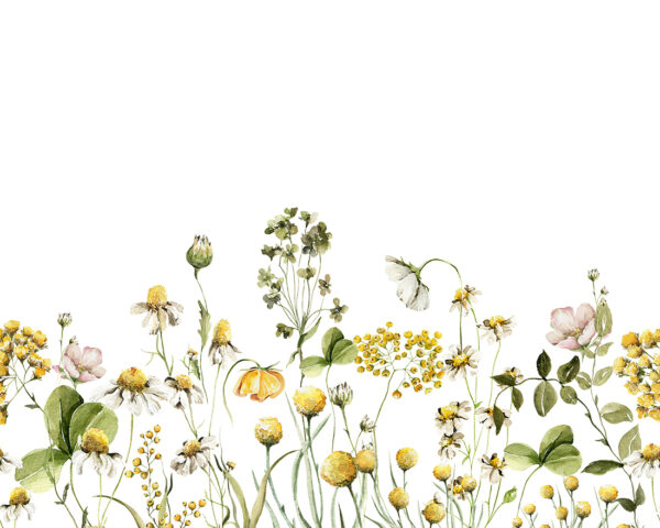 Fototapeten Freiheit der Blumen