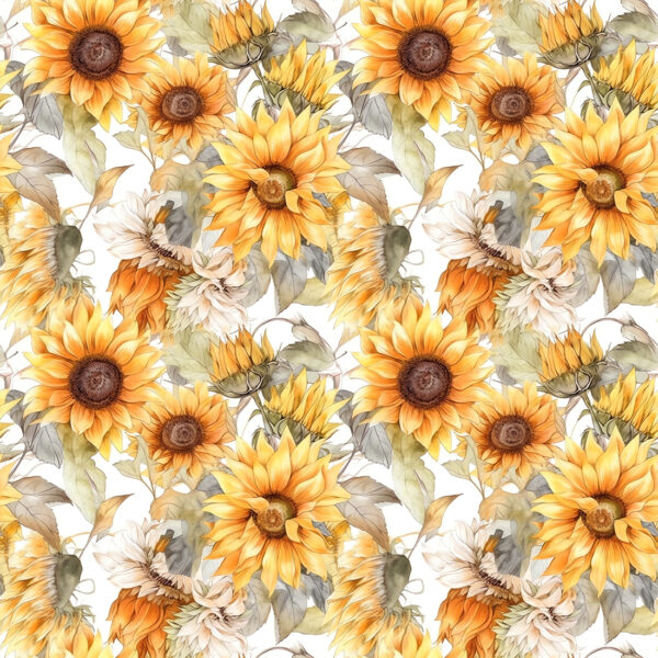 Fototapeten Die Ausdruckskraft der Sonnenblumen