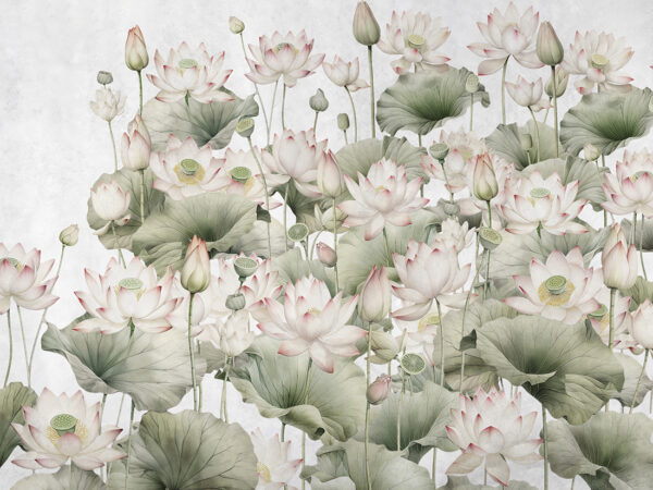 Fototapeten Seerosen