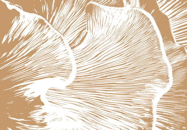 Fototapeten Gedankenrauschen