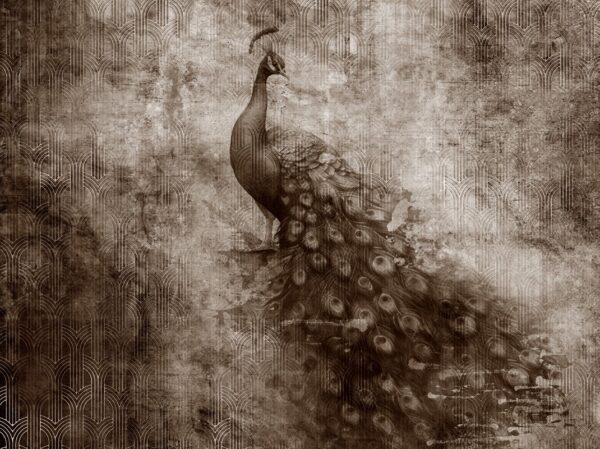 Fototapeten Vintage Pfau