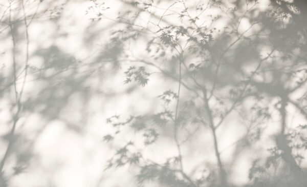 Fototapeten Stille im Schatten