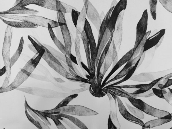 Fototapeten Zarte Gewebe