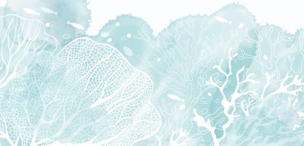 Fototapeten Seenebel