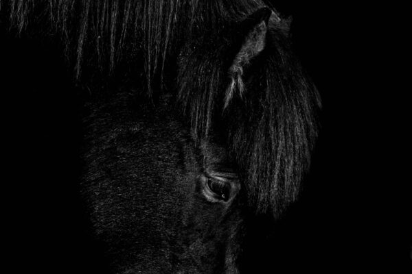 Fototapeten Stille der Nacht