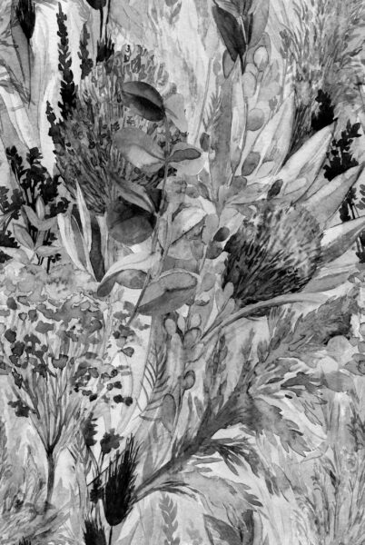 Fototapeten Schatten der Natur