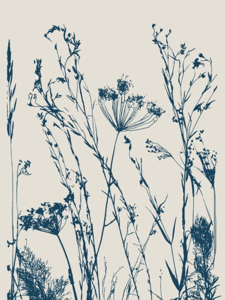 Fototapeten Skizzen von geheimnisvollen Wiesen