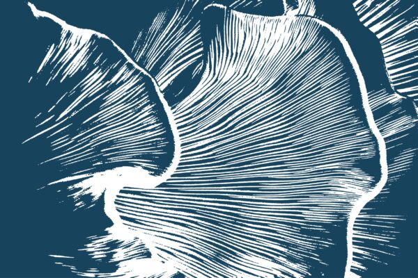 Fototapeten Krone der Natur