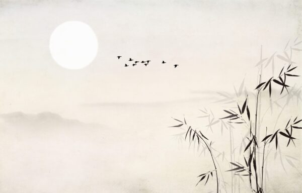 Fototapeten Bambusfrieden