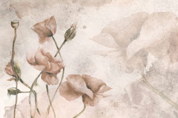 Fototapeten Die Zartheit der Feldmohnblumen