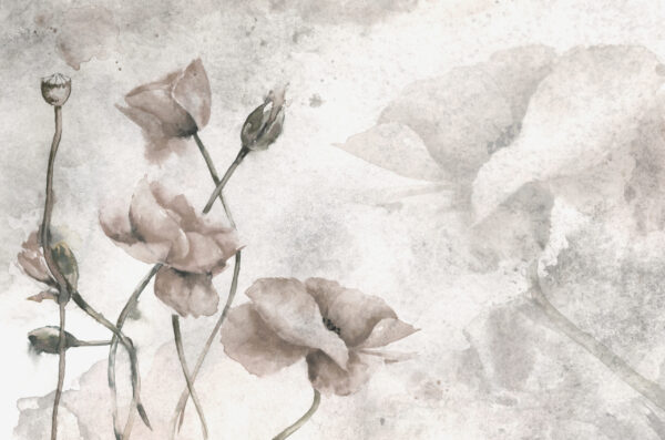 Fototapeten Die Kühle der Feldmohnblumen