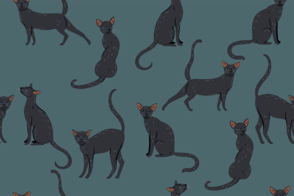 Fototapeten Katzensilhouetten