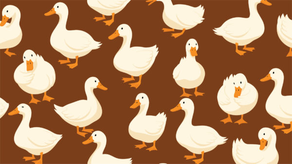 Fototapeten Enten auf dem Bronze