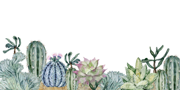 Fototapeten Aquarellkakteen