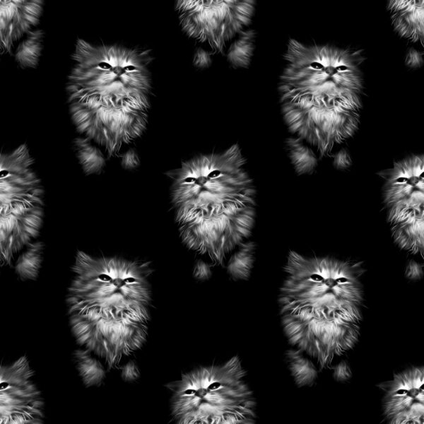 Fototapeten Katzen im Glanz