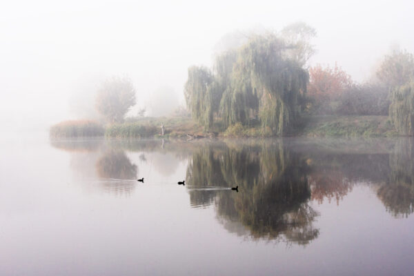Fototapeten Nebelsee