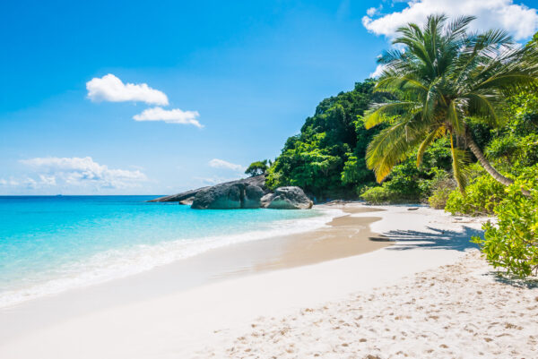 Fototapeten Tropischer Strand