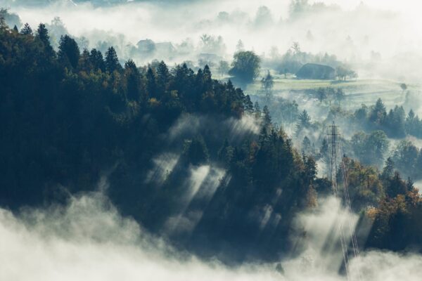 Fototapeten Nebeliges Dorf inmitten der Wälder