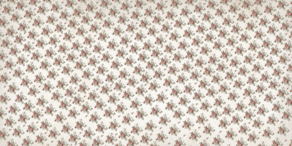 Fototapeten Vintage-Rosen