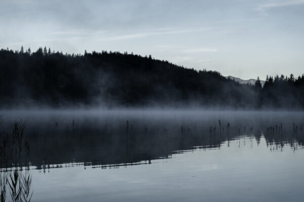 Fototapeten Nebel über dem See