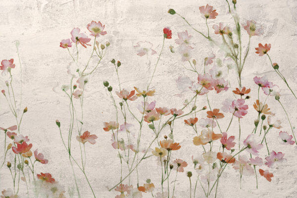 Fototapeten Wildblumen auf Gips
