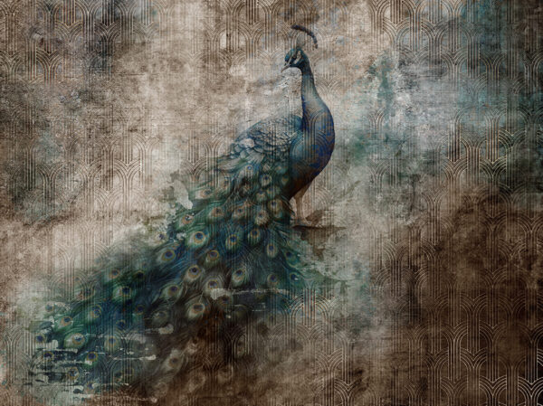 Fototapeten Edler Pfau