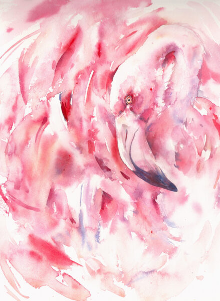 Fototapeten Rosa Flamingo in Abstraktion