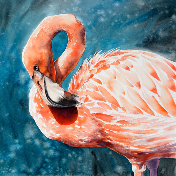 Fototapeten Flamingo in Türkis