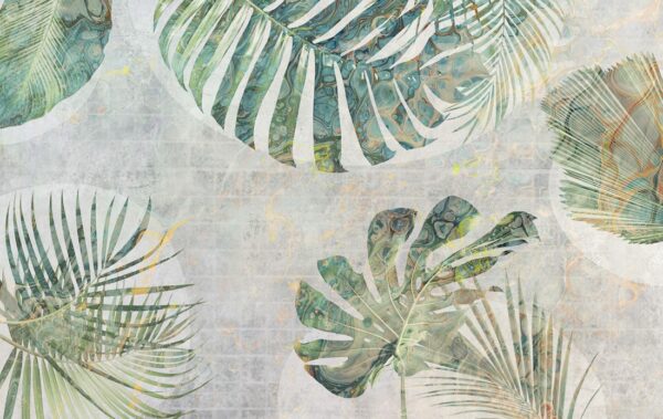 Fototapeten Monstera Grün