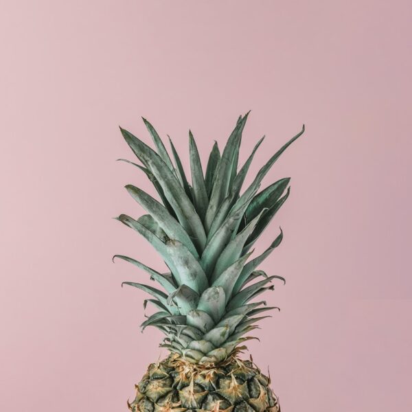 Fototapeten Ananas auf rosa Hintergrund