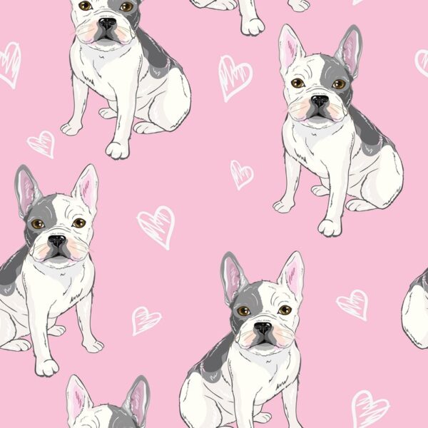 Fototapeten Bulldogge in Pink