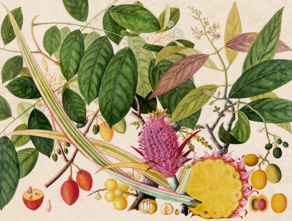 Fototapeten Früchte des exotischen Gartens