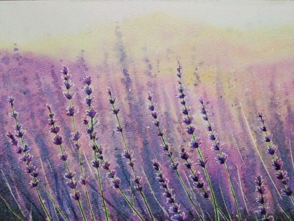 Fototapeten Provenzalischer Lavendel