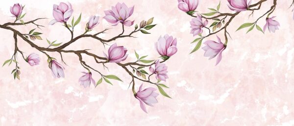 Fototapeten Blühende Magnolienzweige