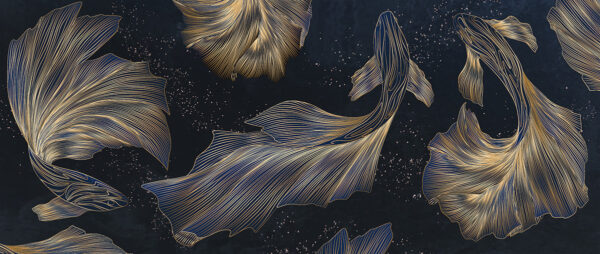 Fototapeten Marineblauer Koi-Tanz