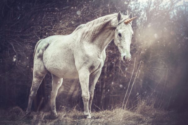 Fototapeten Magisches Einhorn