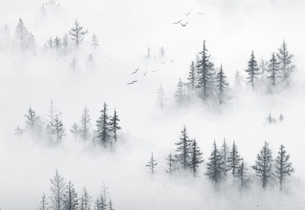 Fototapeten Grauer Wald im dichten weißen Nebel