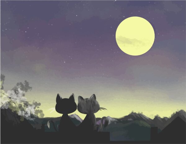 Fototapeten Katzen unter dem Mond