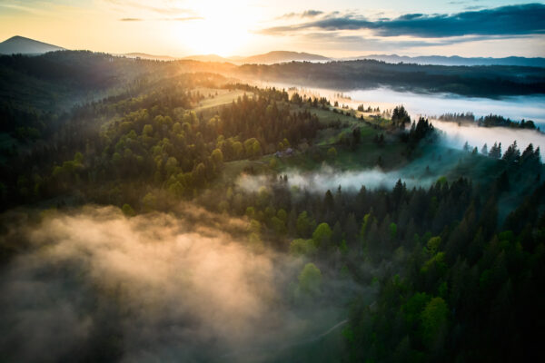 Fototapeten Nebliger Morgen in den Bergen